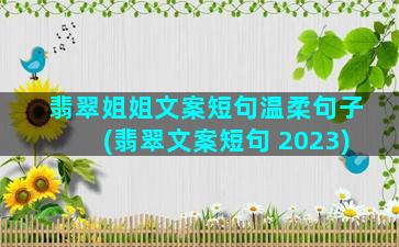 翡翠姐姐文案短句温柔句子(翡翠文案短句 2023)